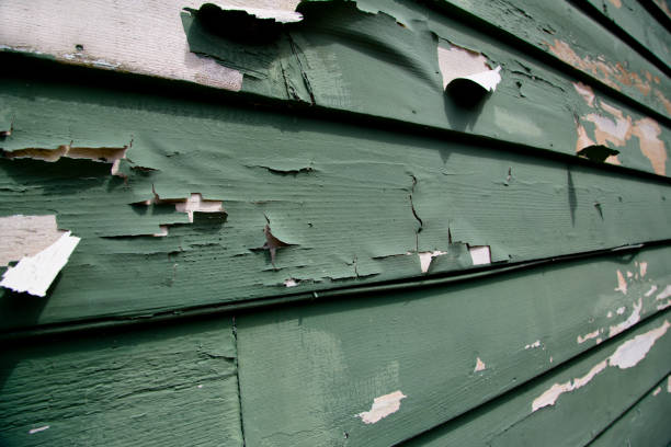 Best Storm Damage Siding Repair  in Parshall, ND