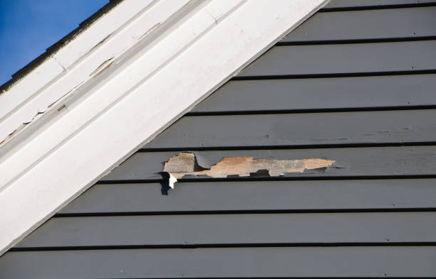 Best Wood Siding Installation  in Parshall, ND