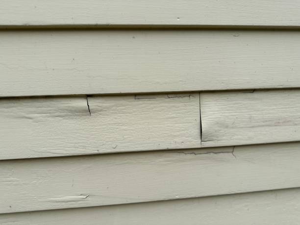 Best Composite Siding  in Parshall, ND
